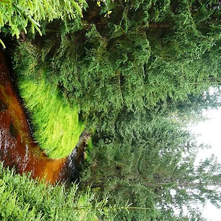 Jozefina Apartament's Blisko Centrum * شكلارسكا بوريبا