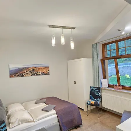 شقة Jozefina Apartament's Blisko Centrum شكلارسكا بوريبا