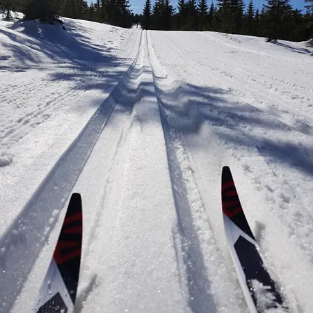 Jozefina Apartament's Blisko Centrum * شكلارسكا بوريبا